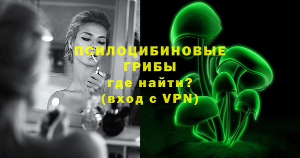 ECSTASY Алзамай