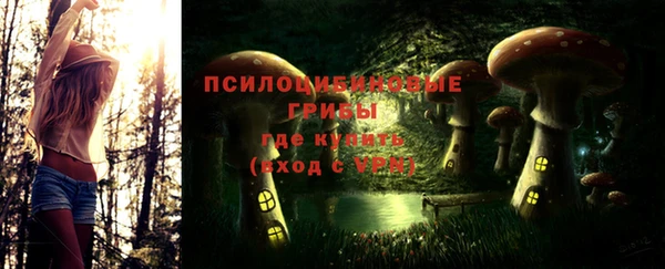 ECSTASY Алзамай
