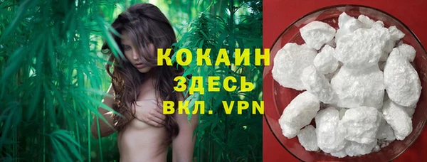 винт Алексин