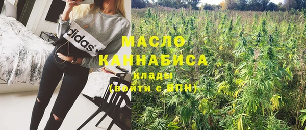ECSTASY Алзамай