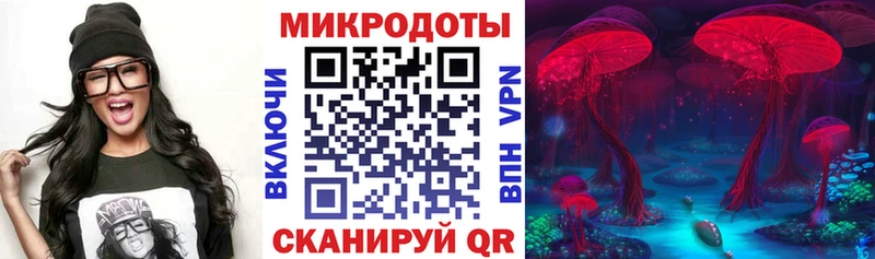 Псилоцибиновые грибы Cubensis  сколько стоит  Анжеро-Судженск 